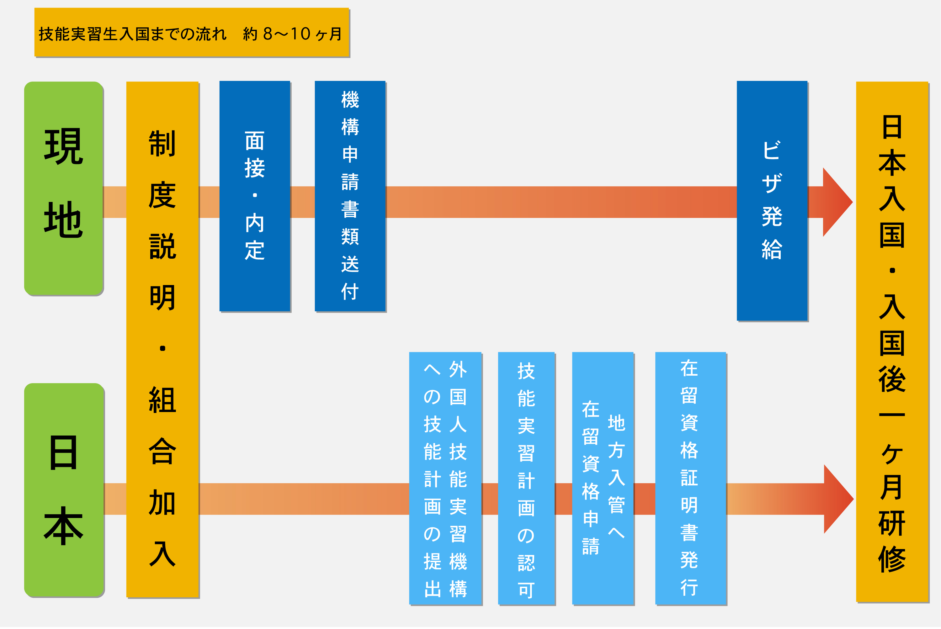 組合加入～入国までの説明図