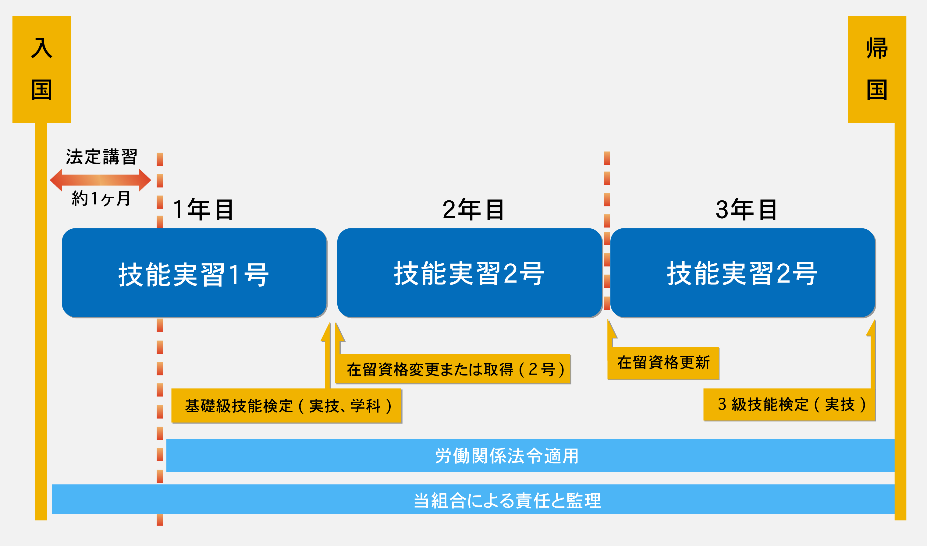 入国～実習終了までまでの説明図